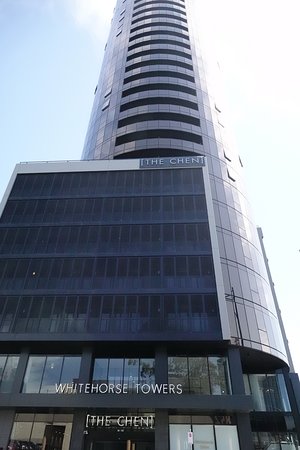 Golden Lily - Australian Directory 0