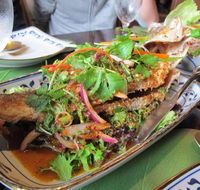 Thai Thonglor 55 - Australian Directory