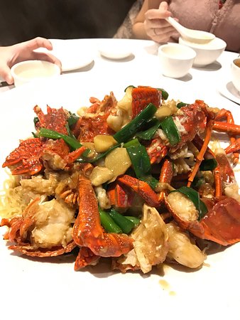 Shark Fin Inn - Australian Directory 0