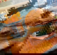 Degani - Australian Directory