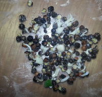 Riviera Pizza - Australian Directory