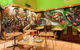 Lime Leaf Thai Restaurant At Lakeside - thumb 0