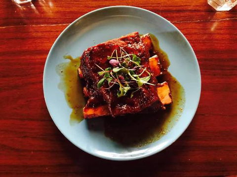 The Bear House - Australian Directory 0