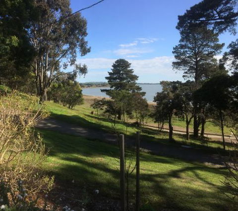 Botanic Cafe On The Lake - Australian Directory 0