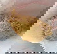 George's Seafood of Rosebud - Australian Directory