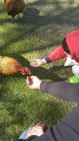 Glen Logan Restaurant - Australian Directory 0