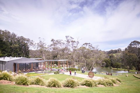 Green Olive At Red Hill - Australian Directory 0