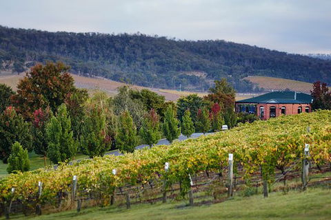 De Bortoli Winery & Restaurant - Australian Directory 0
