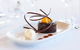 Radius Restaurant - thumb 0