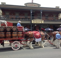Terminus Hotel - Australian Directory