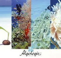 Marlenes Beauty Inside Out - Australian Directory