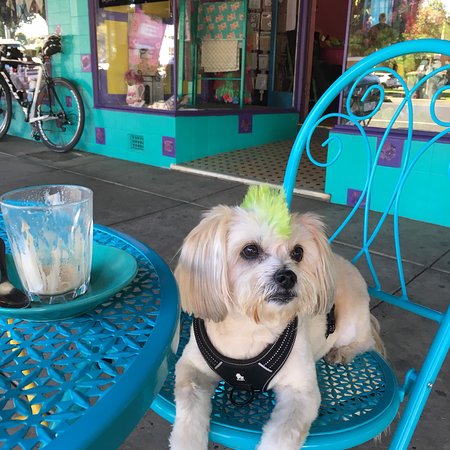 Amber Sweet Bliss - Australian Directory 0