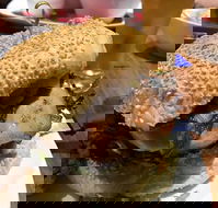 Bistro 121 - Mildura Working Man's Club - Australian Directory