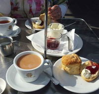 The Pelican Cafe - Australian Directory