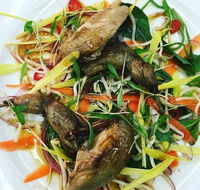 Tuileries Restaurant - Australian Directory