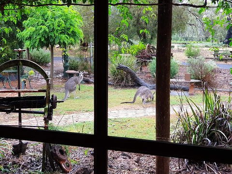 The Wander Inn - Australian Directory 0