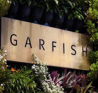 Garfish - Australian Directory