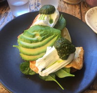Coogee Courtyard - Australian Directory