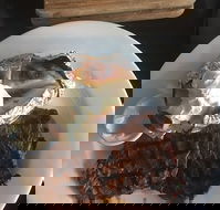 Hurricanes Grill - Australian Directory