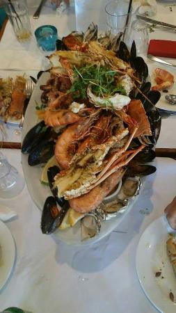 Kamari Greek Taverna Cafe - Australian Directory 0