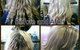Stairway To Hairven - thumb 3