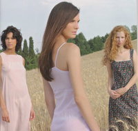 Split Endz Hair  Beauty - Australian Directory