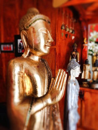 Mai Thai - Australian Directory 0