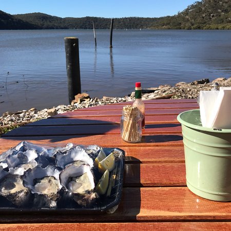 Hawkesbury River Oyster Shed - Australian Directory 0