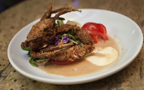 Beef And Barramundi Bar & Grill - Australian Directory 0