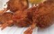 Palm Beach Fish And Chips - thumb 0