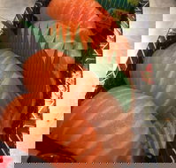 Sushi In - Australian Directory