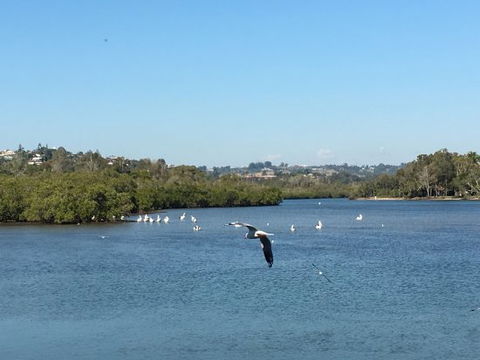 Thai On The River - Australian Directory 0