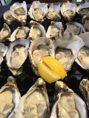 The Oyster Shed - Australian Directory 0