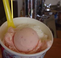 Bermagui Gelati Clinic - Australian Directory