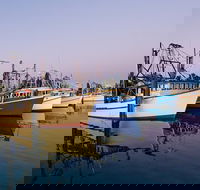 Clarence River Fishermen's Co-Operative - Australian Directory