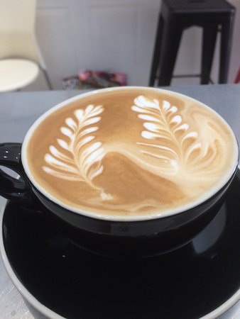 Forster NSW Australian Directory