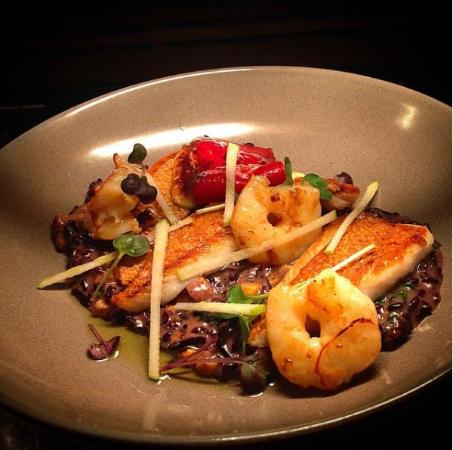 Gryphons Caffe Bar - Australian Directory 0