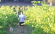 Tallagandra Hill Winery - thumb 0