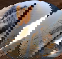 Schnitz - Australian Directory