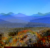 Arcadia Wines - Australian Directory