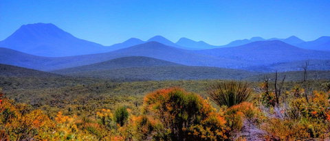 Arcadia Wines - Australian Directory 0