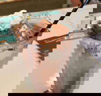 Coffee Mentality - Albion - Australian Directory