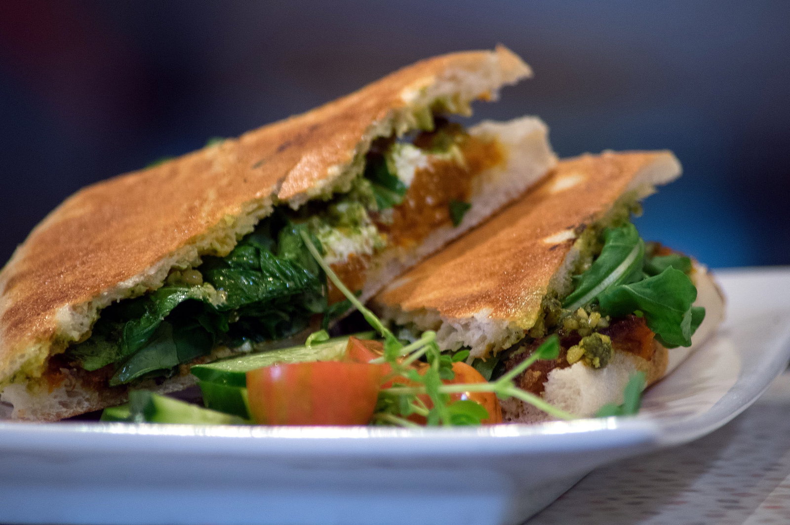 North Dorrigo NSW Australian Directory