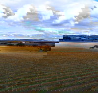Schubert Estate - Australian Directory