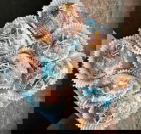 Baker D Chirico Carlton - Carlton - Australian Directory