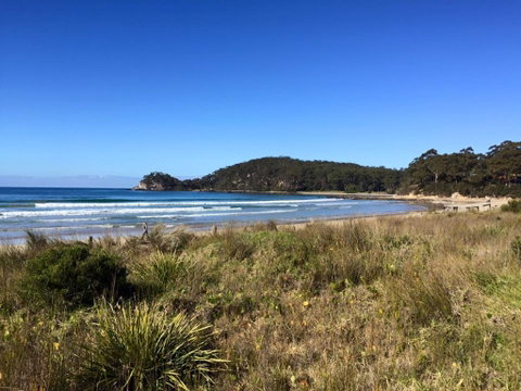 Surf Beach Cafe - Australian Directory 0