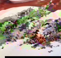 YaYa Bar and Eatery - Australian Directory