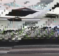 D Cafe - Australian Directory