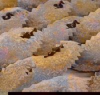 Miami Bakehouse Mandurah - Australian Directory
