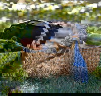 Rowlee Wines Picnic Hamper - Australian Directory